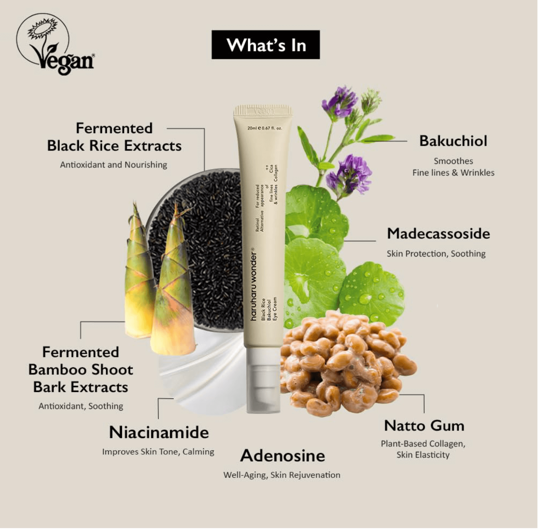 Haruharu Wonder Black Rice Bakuchiol Eye Cream Haruharu Wonder