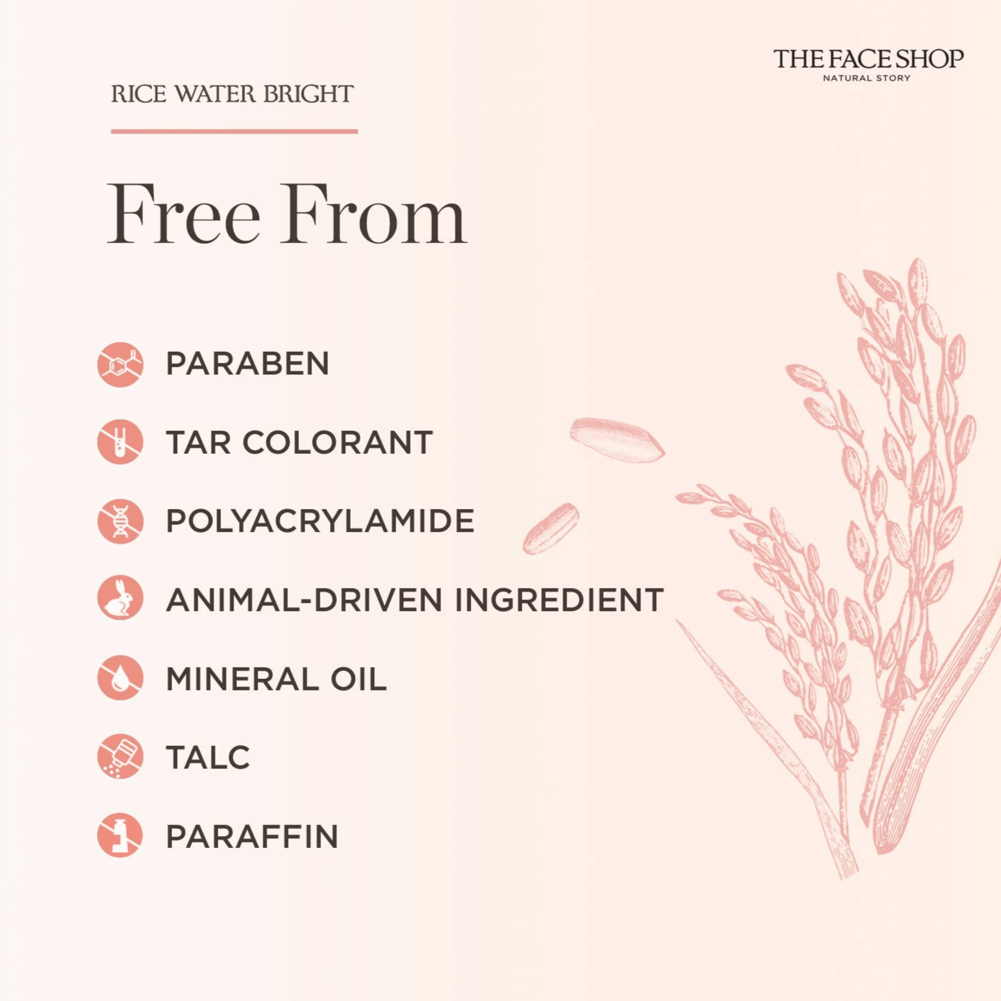 The Face Shop Rice Water Bright Light Cleansing Oil The Face Shop